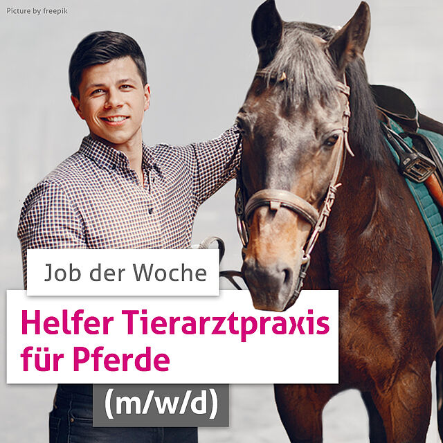 RAHMER Zeitarbeit Jobanzeige