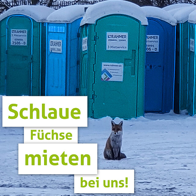 Schlaue Füchse mieten bei RAHMER Mietservice!