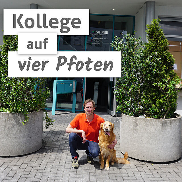 RAHMER Bring dein Hund mit zur Arbeit Tag RAHMER Bring dein Hund mit zur Arbeit Tag