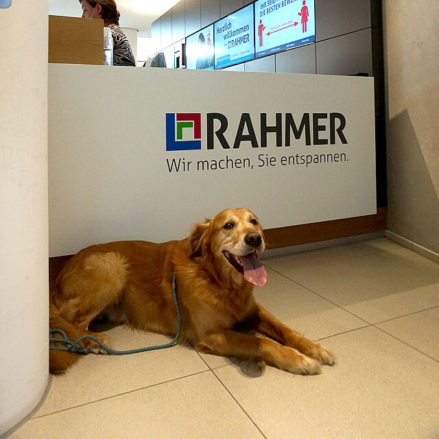 RAHMER Bring dein Hund mit zur Arbeit Tag RAHMER Bring dein Hund mit zur Arbeit Tag